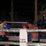 Gala Leilor 2012 Club LION MUAY THAI vs SELECTIONAREA ROMANIEI